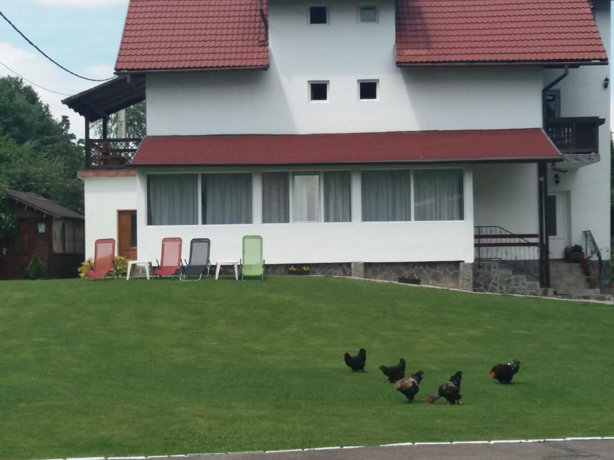 Pensiunea Vladut Bran  Exterior foto